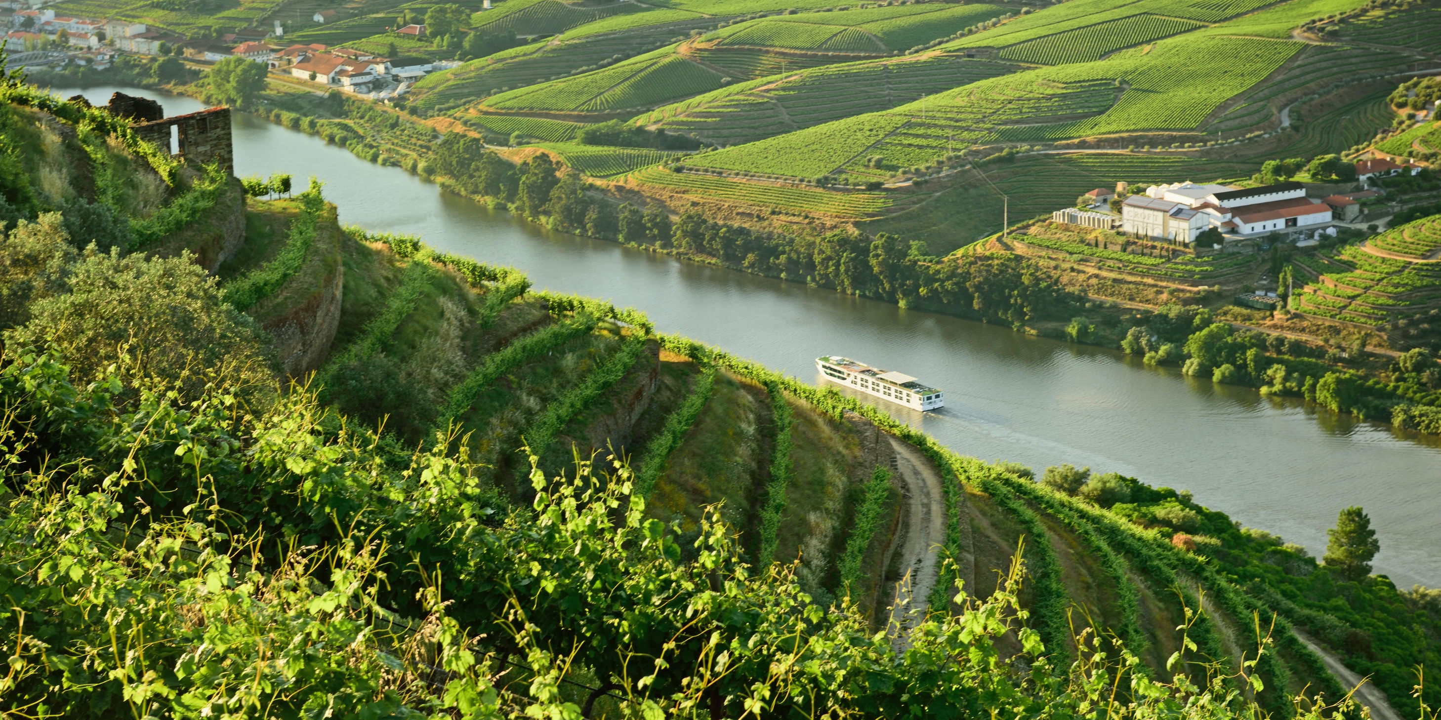 Luxury river cruise ship sailing down the Douro river lined with vineyards