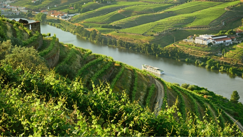 Luxury river cruise ship sailing down the Douro river lined with vineyards