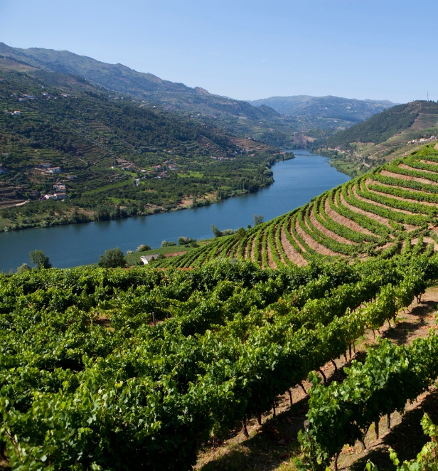 Douro River